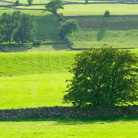 Cherry Tree At Satterthwaite * Hawkshead